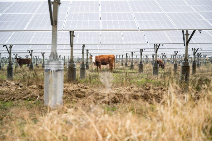 100MW photovoltaic+poverty alleviation